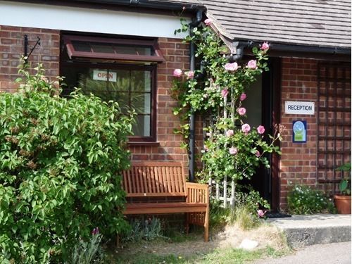 Spindlewood Country Holiday Park - Caravan Park Hastings Exterior foto